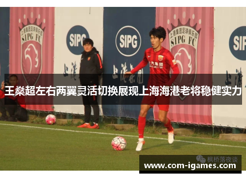 王燊超左右两翼灵活切换展现上海海港老将稳健实力